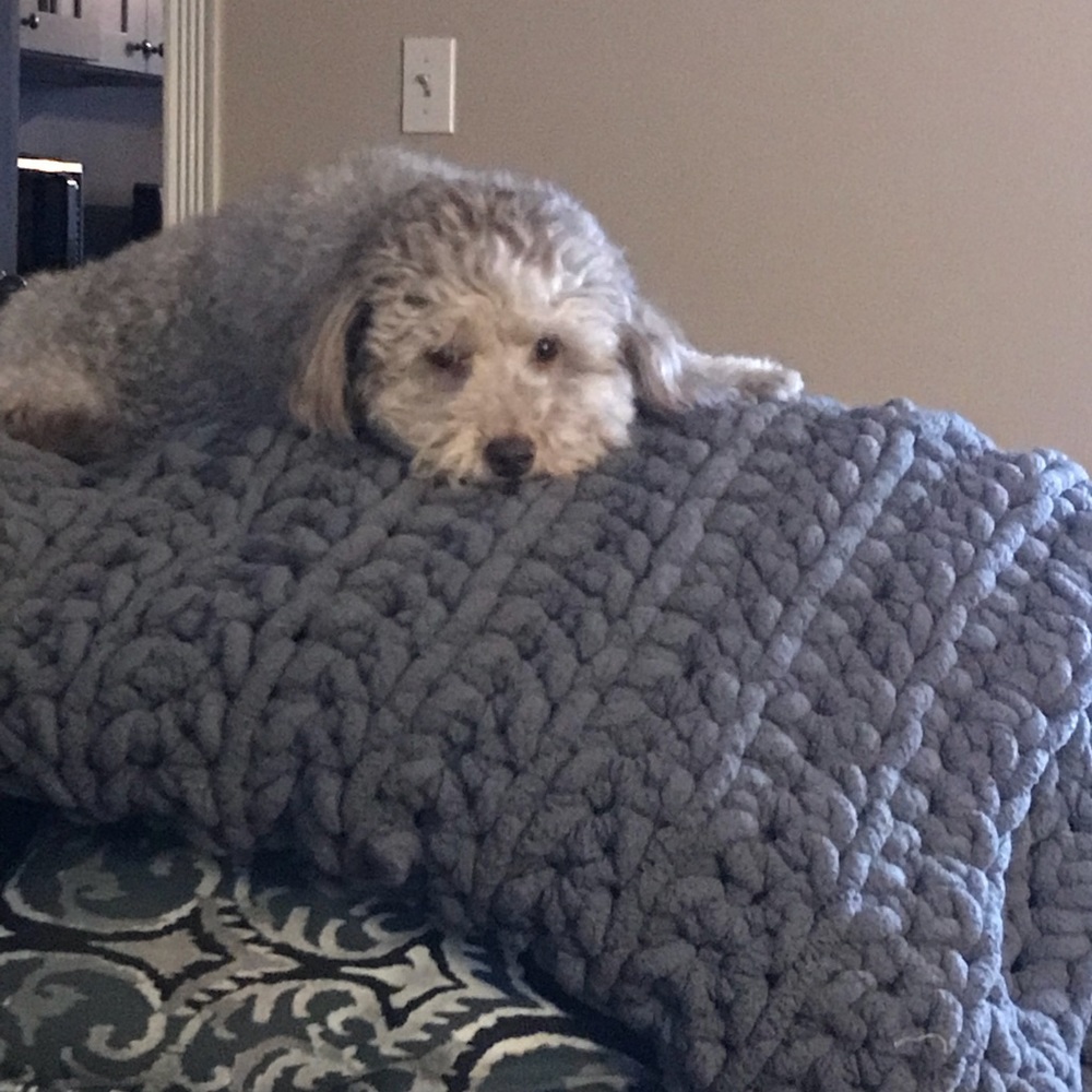 Meet your Posher, Denise